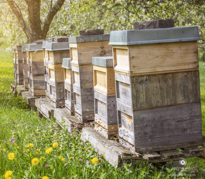 Imkerei Heinzmann Deggingen